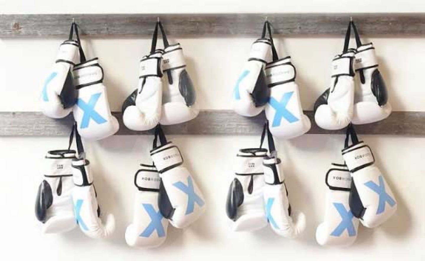 Vapor Fresh Boxing Glove Dogs