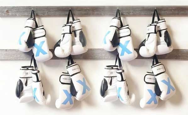 Vapor Fresh Boxing Glove Dogs